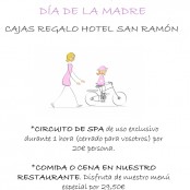Día de la Madre 2013