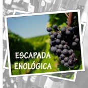 Escapada enologica entre viñas