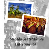 Escapada Gastronómica entre Viñas